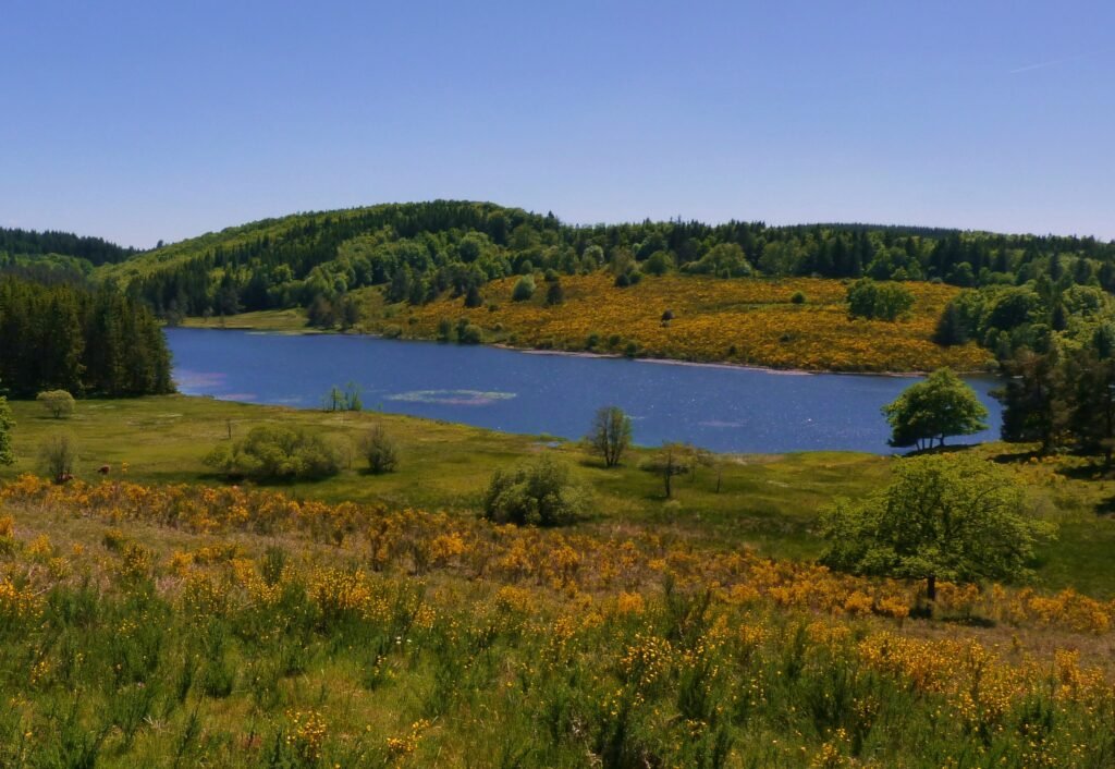 Etang des Oussines