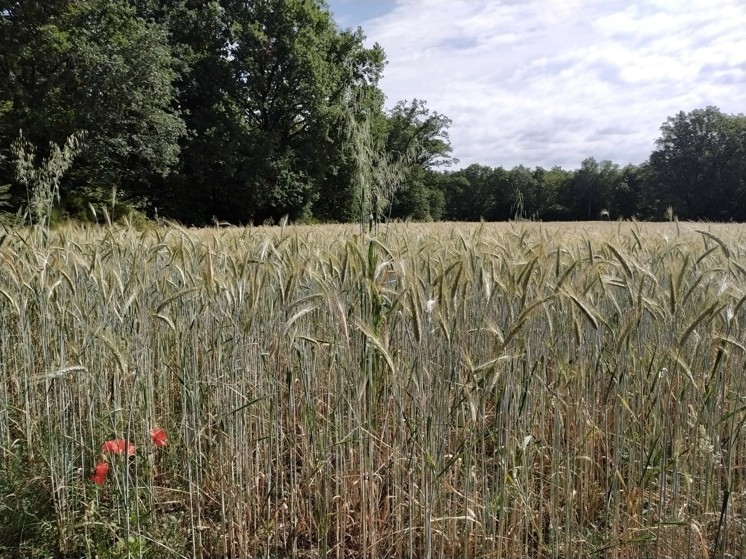 © Benjamin BATES La vallée de la Creuse – Image 16