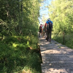 Ponton et randonneurs Retrouvance