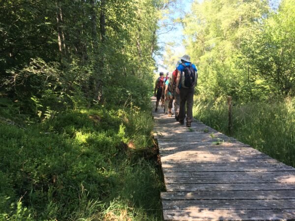 Ponton et randonneurs Retrouvance