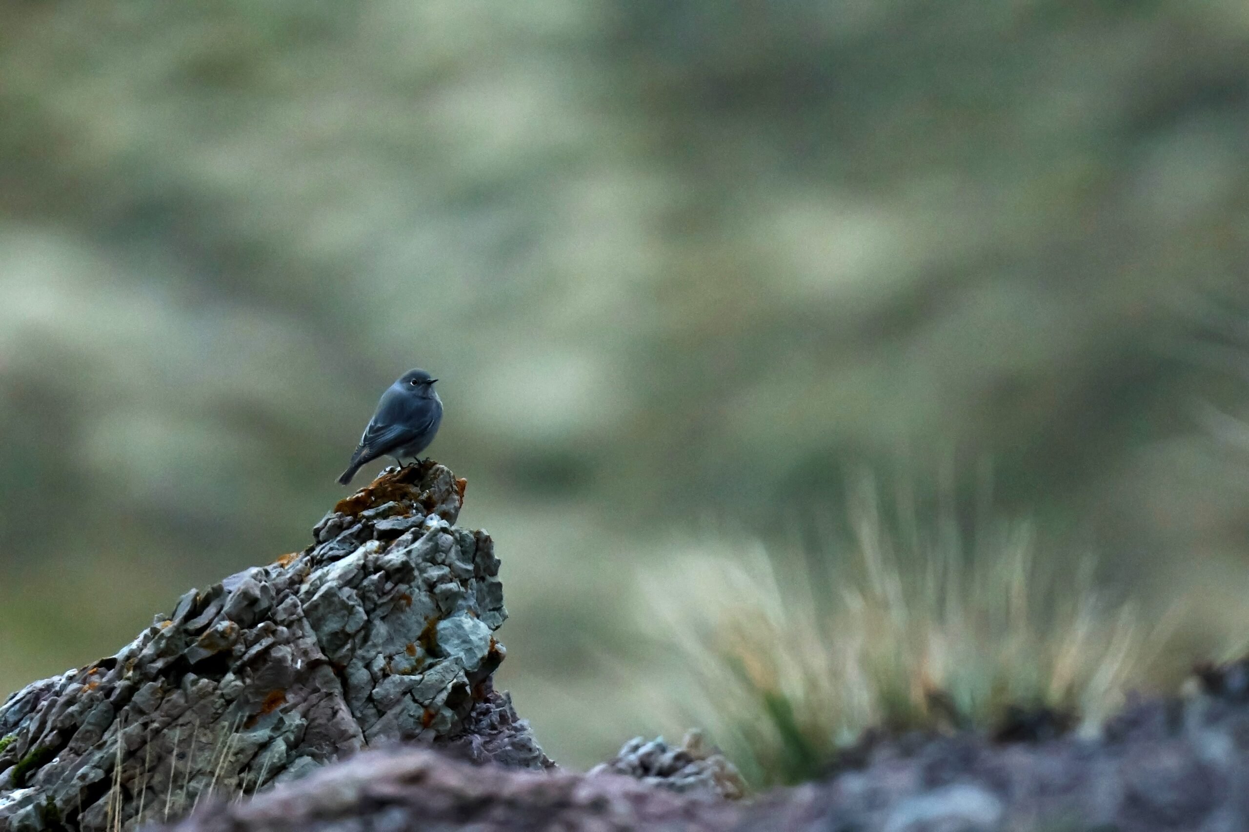 © Antoine BENTEGEAT Séjour stage rando photo dans les Monges – Image 7