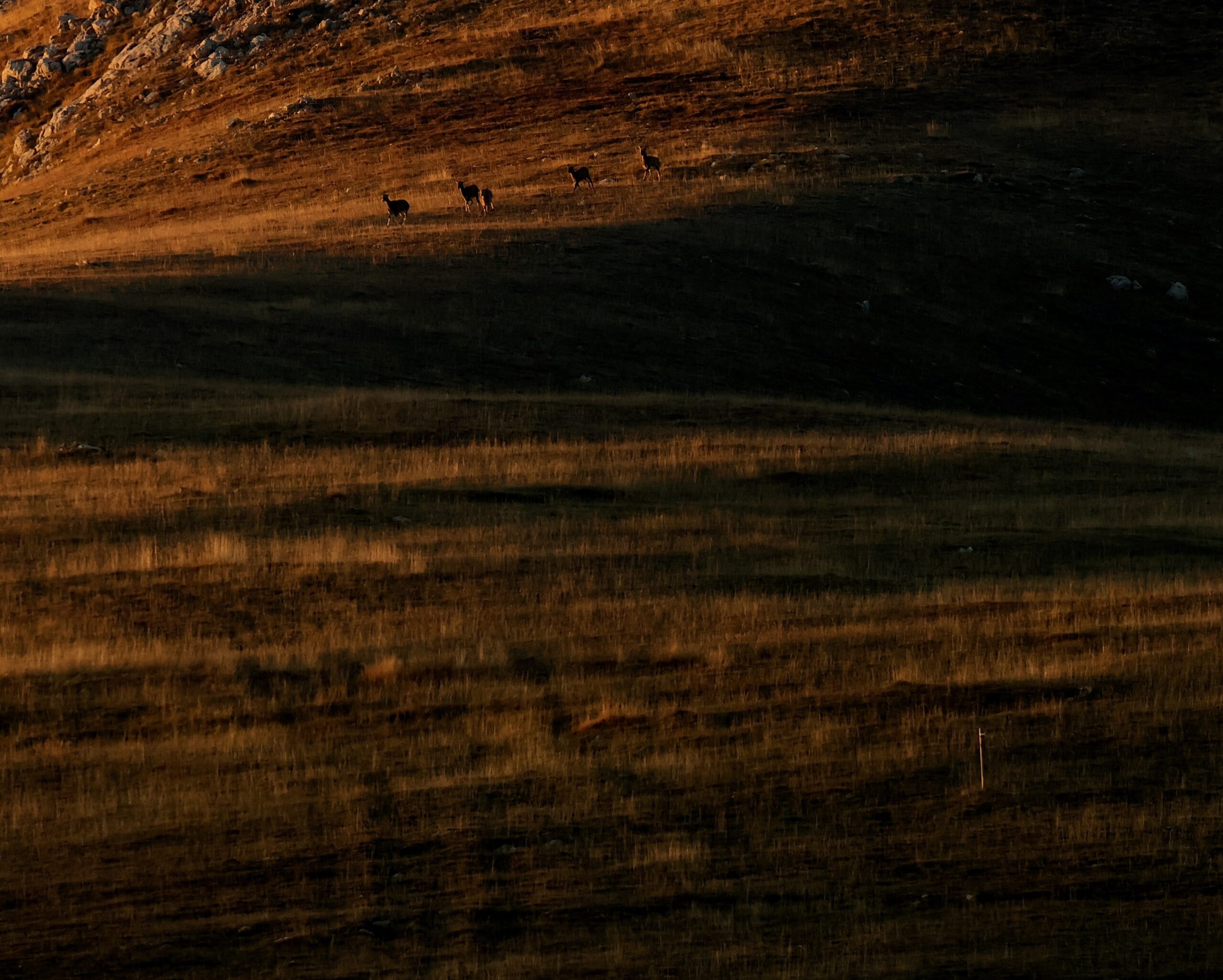 © Antoine BENTEGEAT Séjour stage rando photo dans les Monges – Image 6