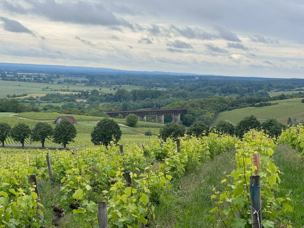 © Pascal BRUNEAU Le Sancerrois