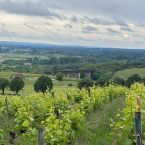 Le Sancerrois