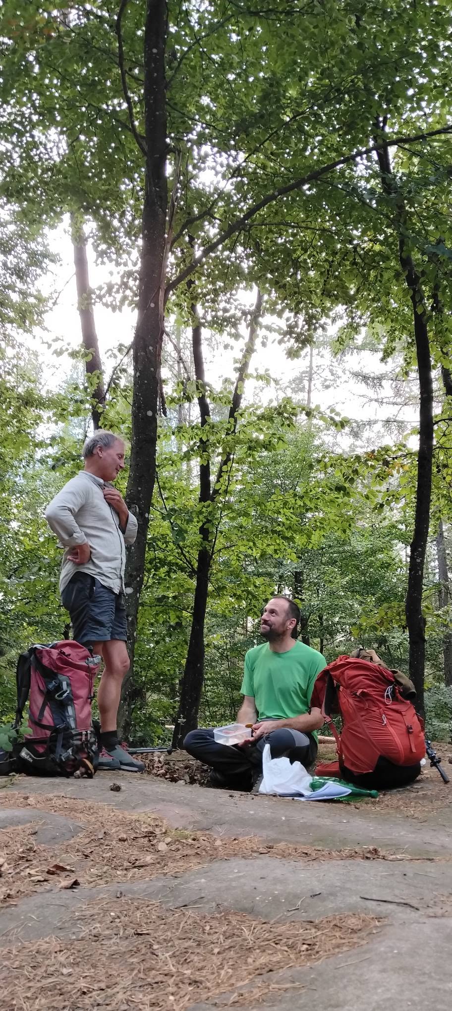 © Solène KINET Vosges du Nord – Image 20
