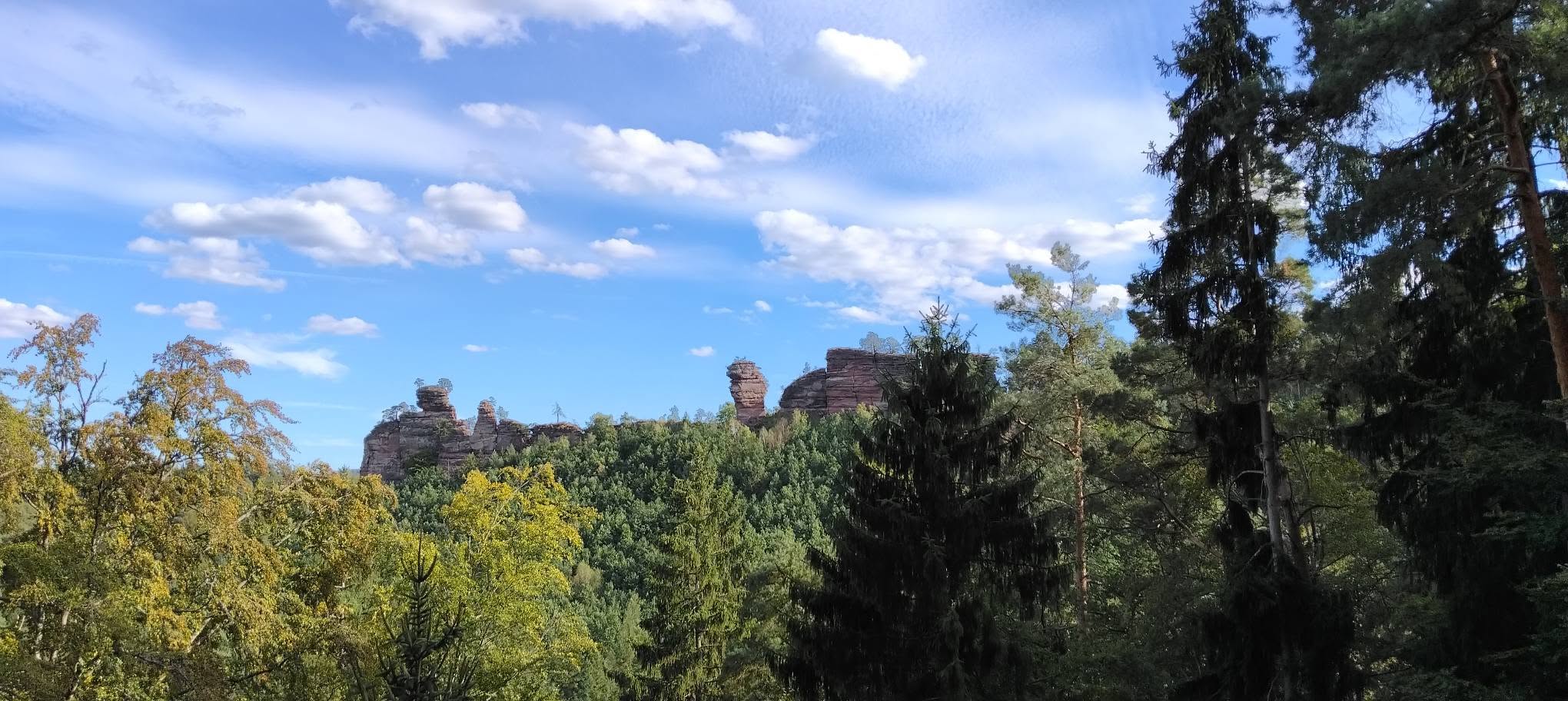 © Solène KINET Vosges du Nord – Image 12