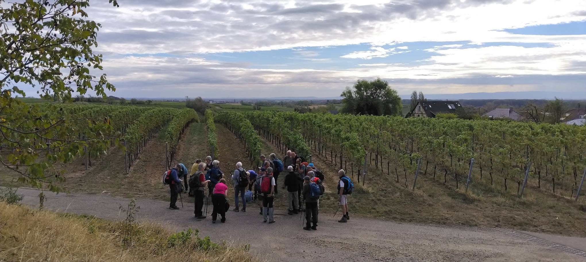 © Solène KINET Vosges du Nord – Image 2