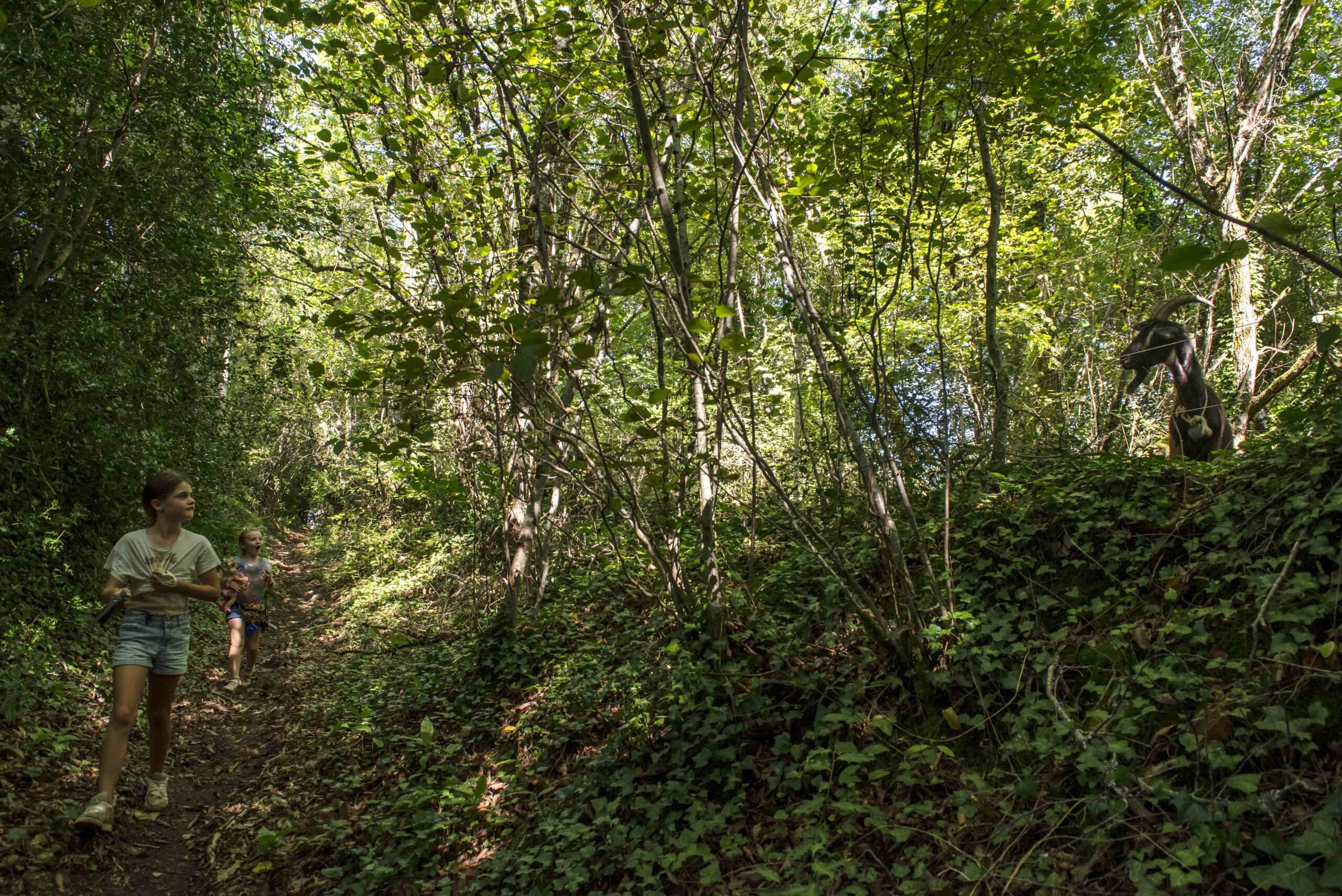 © Hélène DEGRANDPRE Les séjours Permatrek – Image 3